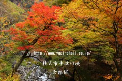 h23.12.13 中津川